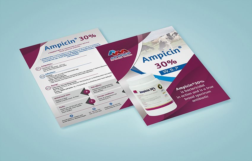 AM Group Ampicien