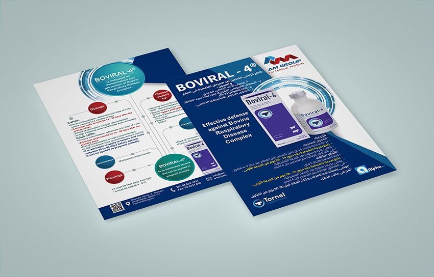 AM Group Flyer