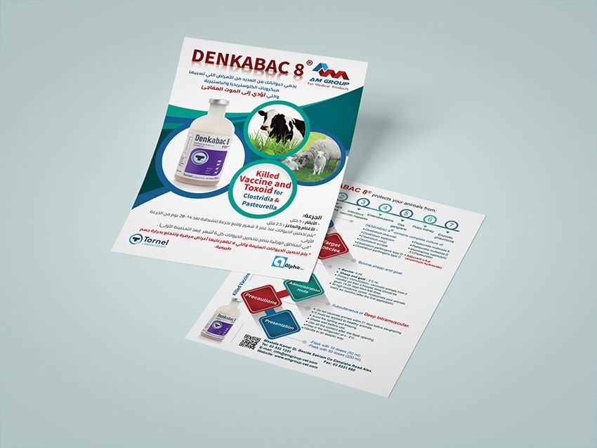 AM Group Flyer