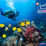 Diving