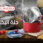 Elmaleka Steam