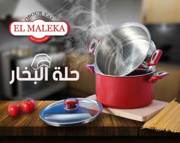 Elmaleka Steam