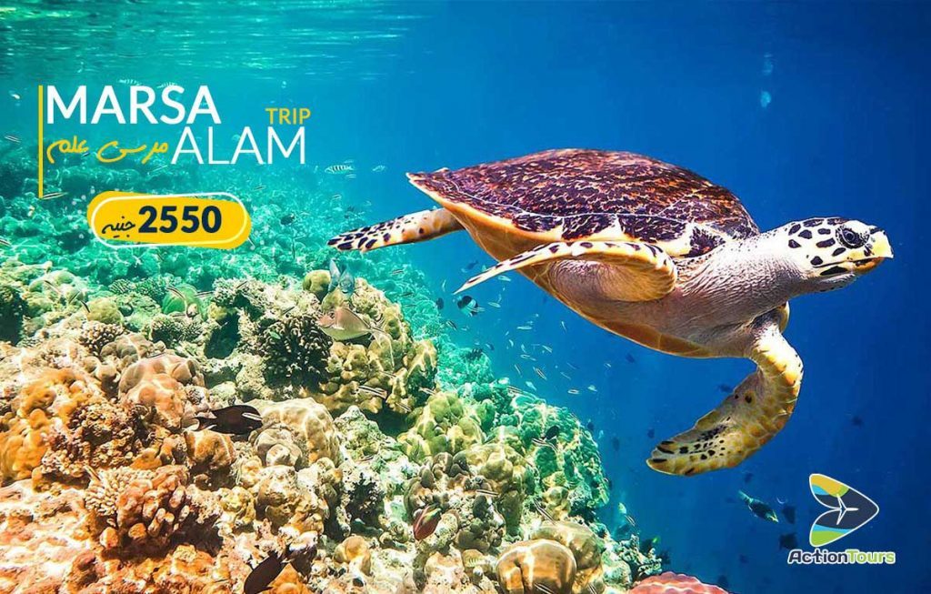 Marsa Alam