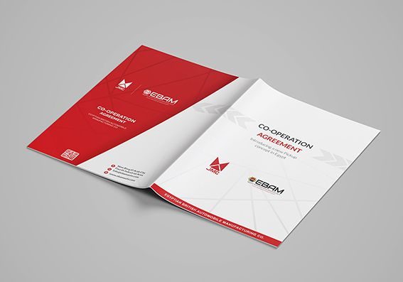 Zemex Brochure