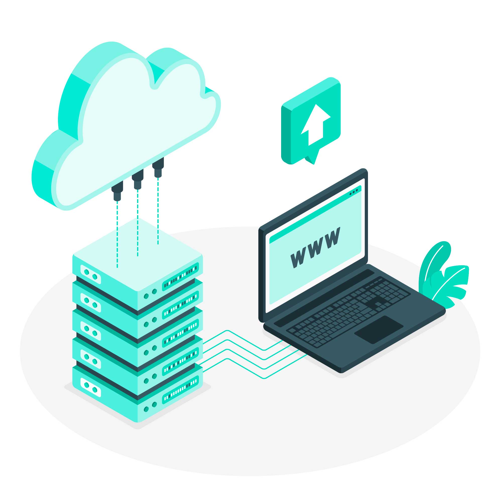 domains