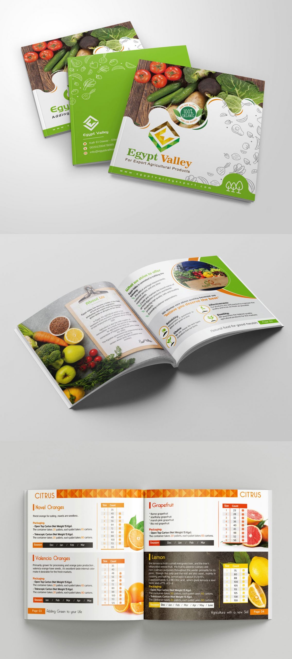 egypt-valley-catalogue
