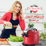 onehoster-Digital Marketing-elmaleka