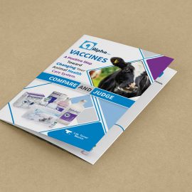 onehoster-brochure-alpha