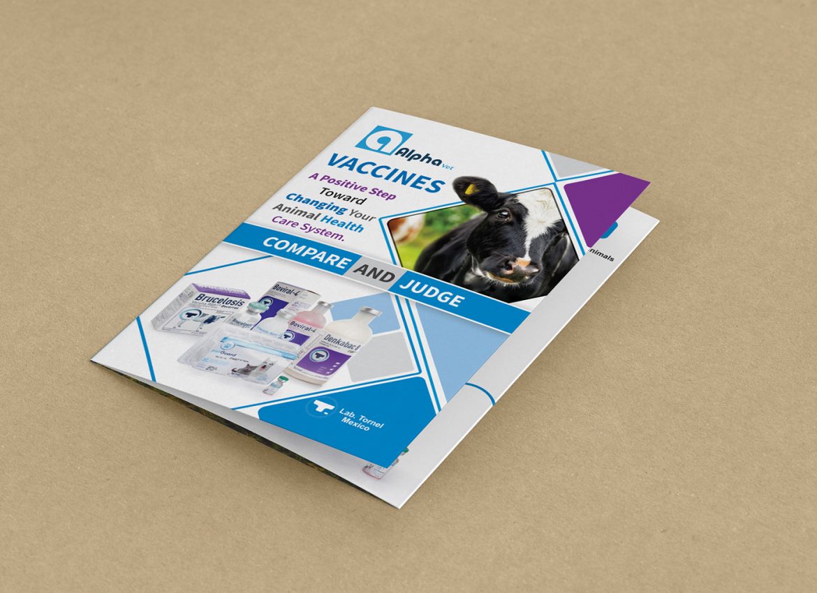 onehoster-brochure-alpha