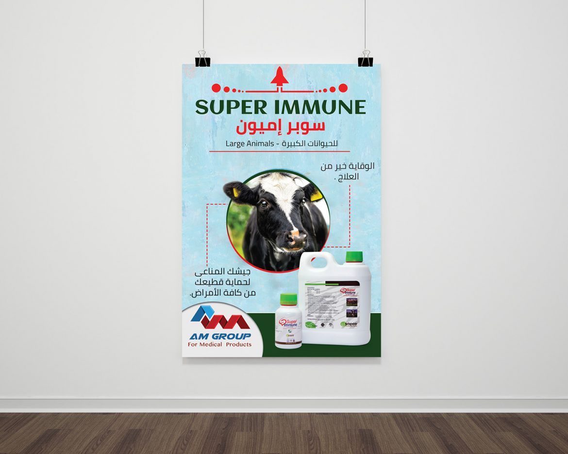 onehoster-flyer-amgroup