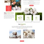 onehoster-website-united-cotton