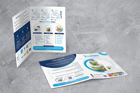 onehoster-flyer-dolphin