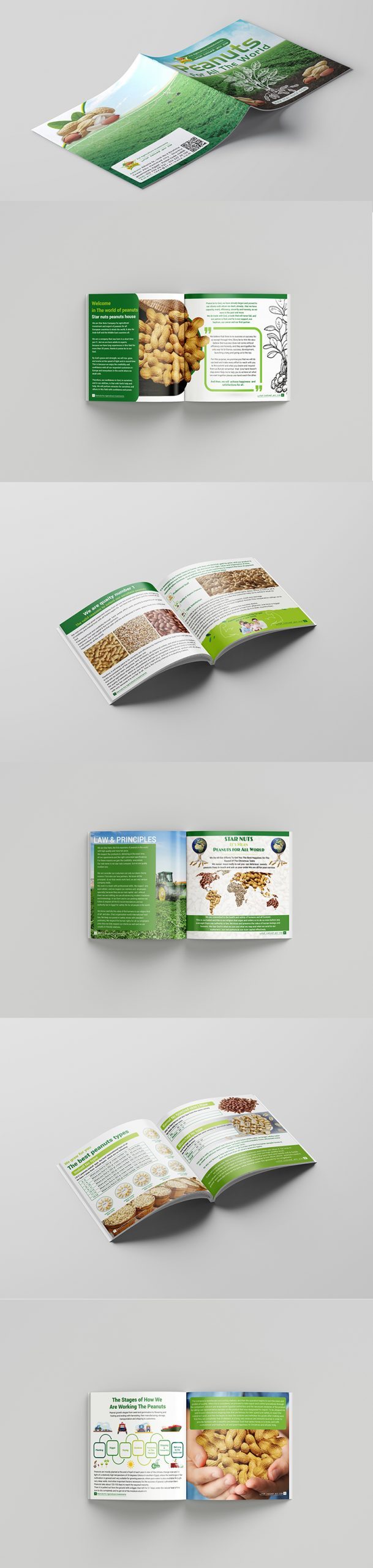 onehoster-catalogue-starnuts