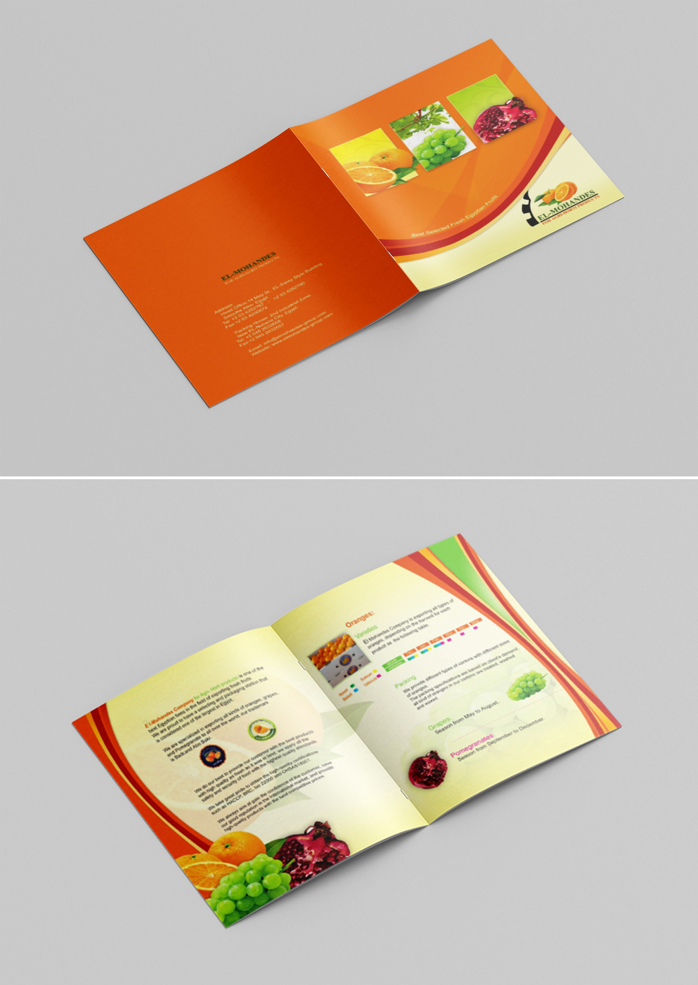 elmohandes_brochure