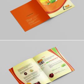 elmohandes_brochure