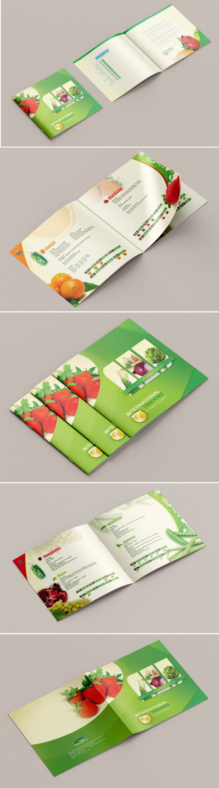 international_catalogue