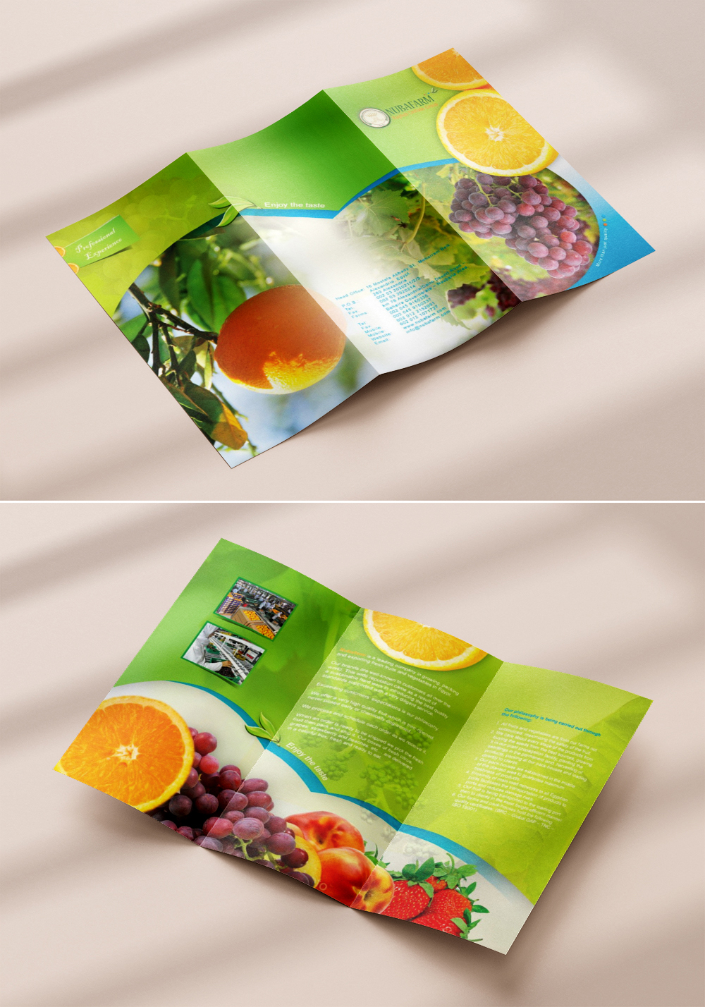 nubafarm_flyer
